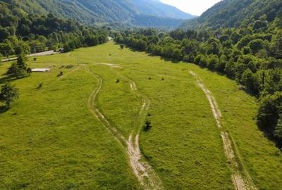 Teren de 5000 mp, în Păscoaia - 3