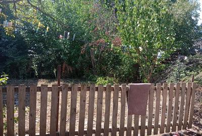 Casa cu curte si gradina suprafata totala 250mp - 3