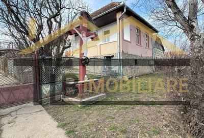 Casă cu 2 camere cu Teren 1192 Mp în Criș - 10