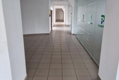 Birou, 400 mp în Theodor Pallady - 3