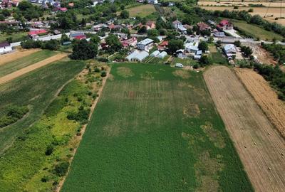 Teren Constructii Intravilan 4750mp SABARENI - 0% COMISION - 4