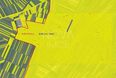 Teren extravilan de vanzare - Gura Raului - 3