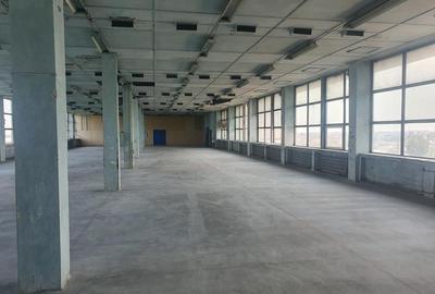 Spațiu industrial, de 400 mp, în Pantelimon