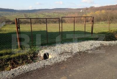 Teren intravilan 3600mp, Posmus - 2