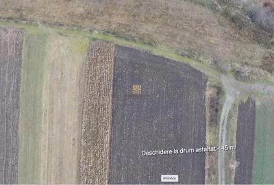 Teren de 14066 mp, în Mihoveni - 10