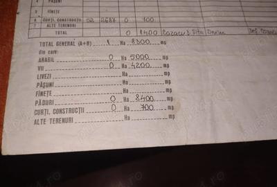 Casă în Jariștea - 4