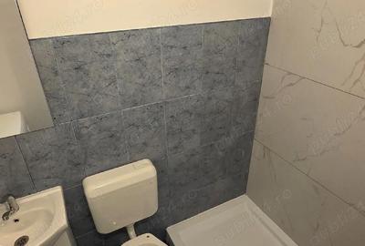Garsonieră semidecomandată în Lăpuș Argeș - 5