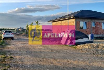 Gulia, casă parter 4 camere + dependințe 112 mp utili, curte 470 mp - 6