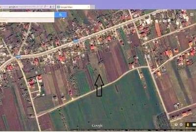 Teren intravilan de vanzare Ciofliceni | Ghermanesti | Snagov - 2