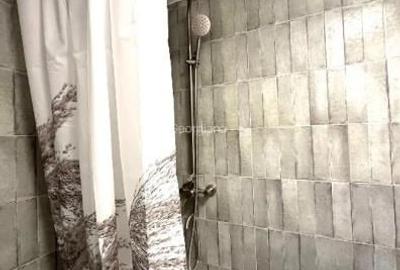 Inchiriere Apartament 2 Camere Decomandat Brancoveanu-Paduroiu - 10