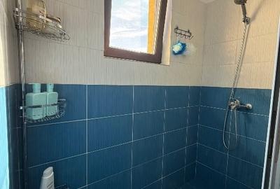 Apartament cu 2 camere, mobilat în Ciurea - 10