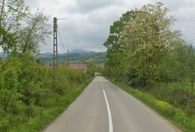 Teren de vanzare in Meziad. - 3