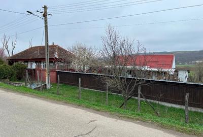 Casa + Teren 3500 mp intravilan + 11500 mp teren agricol, extravilan - 3
