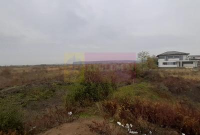 Teren agricol extravilan de 5000 mp, în Corbeanca - 21