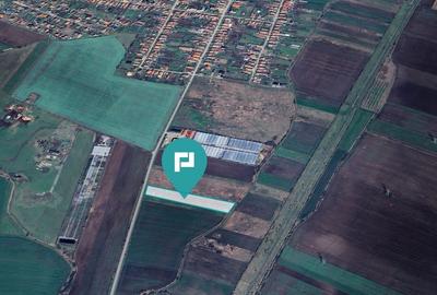 Teren arabil intravilan 10.333mp - Livada - 3