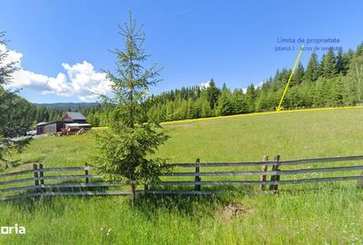 Teren de 6450 mp, în Neagra - 18