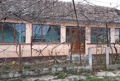 Vand casa la tara cu 2.800 mp teren Chislaz, jud. Bihor - 8