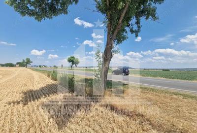 Teren agricol la sosea, pretabil si ptr constructii industriale - 3