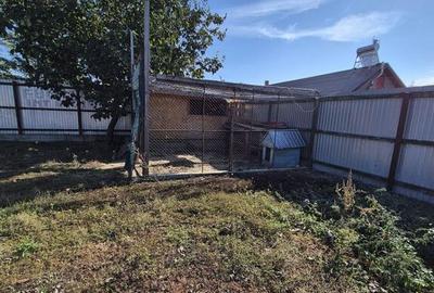 Teren Intravilan (800mp), Fundulea - 5