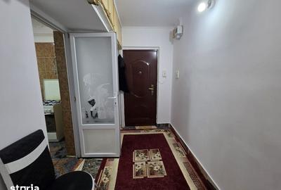 Apartament cu 2 camere în Banat - 5