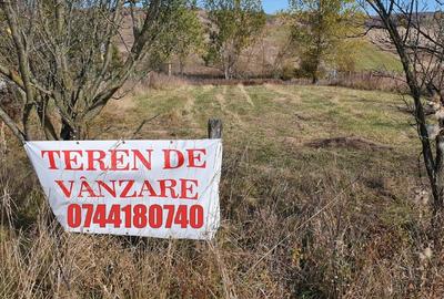 Teren Construcții intravilan de 2533 mp, în Săliștea Veche - 3