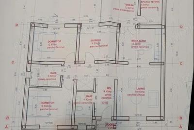 Casă cu Teren 532 Mp în Remetea Mare - 2