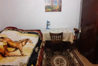 Garsonieră decomandată în Lugoj - 4