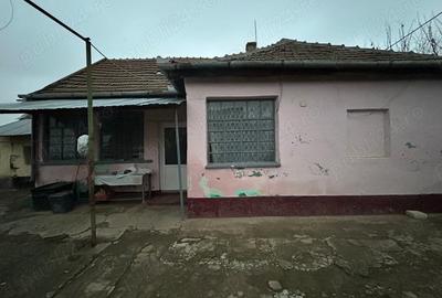 Casă cu 3 camere cu Teren 2241 Mp în Sânnicolau Român - 9