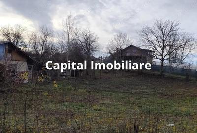 Teren Intravilan Baicoi 1061 mp - 6