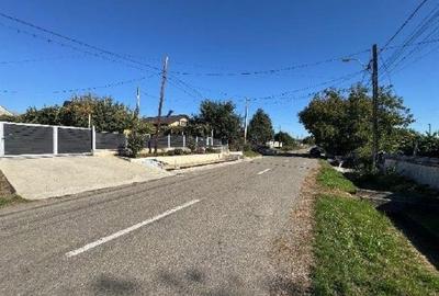 Casă cu 3 camere cu Teren 2000 Mp în Talpa - 7