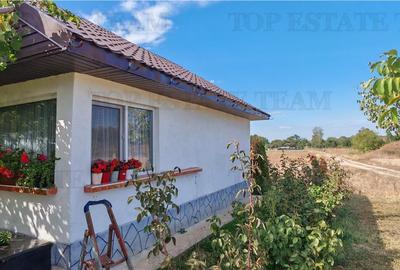 Ferma 3,3ha, din care 2,5ha intravilan, vila 7 camere, D+P+E+M, casa pentru munc Ferma 3,3ha, din care 2,5ha intravilan, vila 7 camere, D+P+E+M, casa pentru munc - 17