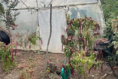 Casă individuală cu 5 camere cu Teren 790 Mp în Bariera Vâlcii - 9