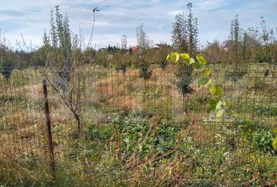 Teren intravilan de vanzare, 1400 mp, zona Bercu Rosu - 12
