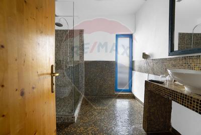 Hotel/Pensiune, de 2,979.4899902344 mp, în Murighiol - 43
