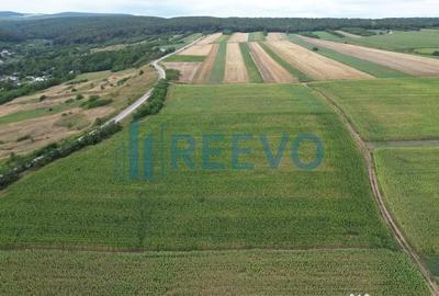 Teren de 3600 mp, în Racova - 9