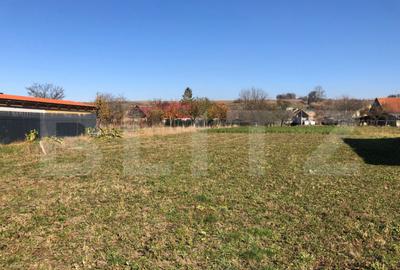 ???? Teren de vanzare in jude?ul Bra?ov 1.481 mp, ut - 3