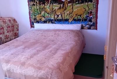 Casă cu 4 camere în Vulturu - 2