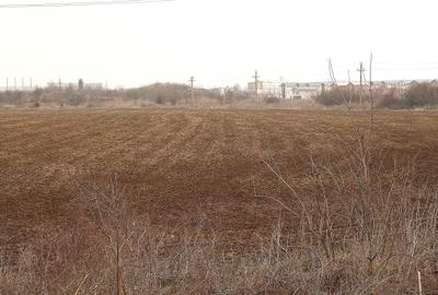 OTOPENI - Str. Drumul Garii Balotesti, 30.400 mp. teren ideal dezvoltare imob. - 3