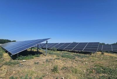 Proprietate agroindustriala, hala 1590 mp, teren 28000 mp, p - 6