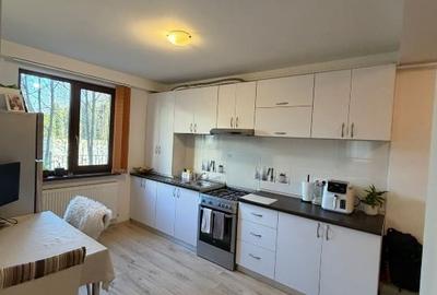 Apartament cu 2 camere semidecomandat, mobilat în Valea Lupului - 10