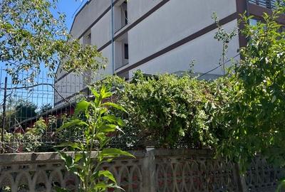 Teren str Renasterii Chitila - 4