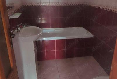 Casa Sagului -Rebreanu de vanzare - 5