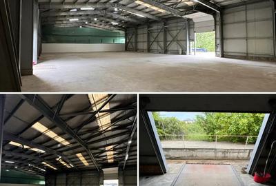 Inchiriez Hala 700mp + 130mp birouri Manolache - Ilfov A0-A2-DnCB - 4