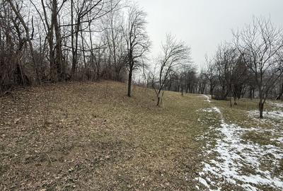 Teren 4652 mp cu izvor pe el, Lunca Mare, lângă păstrăvăria Doftana - 17