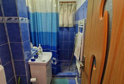 Apartament cu 2 camere, zona Alexandru cel Bun - 7