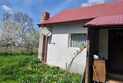 Casă cu Teren 3000 Mp în Sălcioara - 2