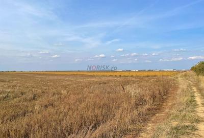 TEREN Dezv Logistica 2500mp posib extindere Centura CHITILA Rudeni - 6