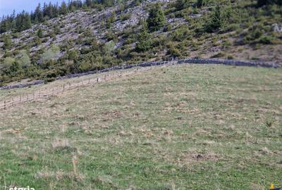 Teren de 6966 mp, în Fundata - 2