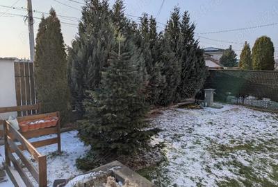 Casă în Strejnicu - 8