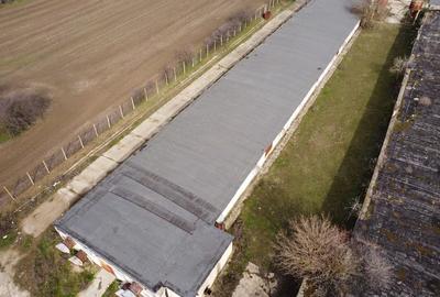 Teren de 25000 mp, în Călacea - 6